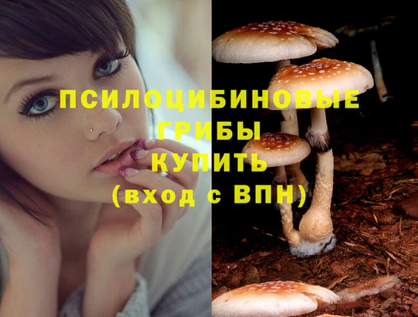 каннабис Гусев