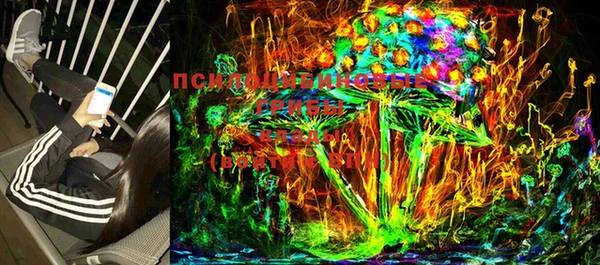 mix Гусиноозёрск