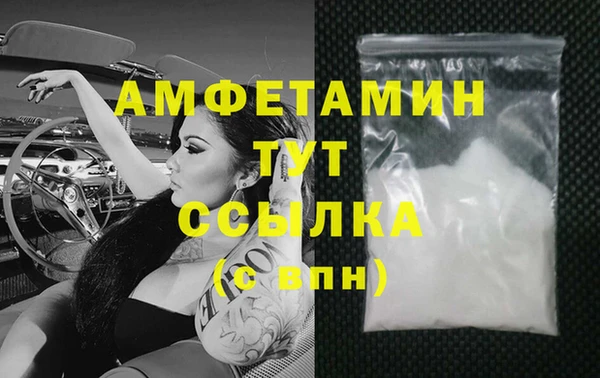 гидра Горняк