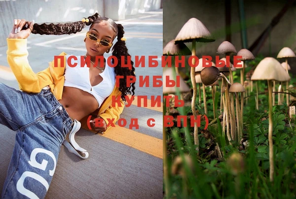 каннабис Гусев