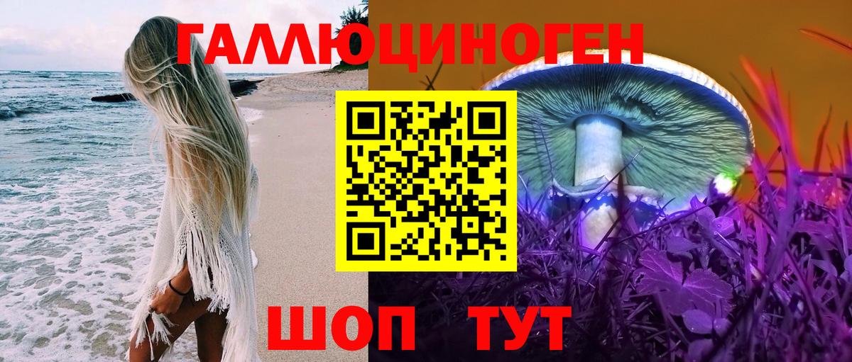 где можно купить наркотик  Можга  Псилоцибиновые грибы прущие грибы 