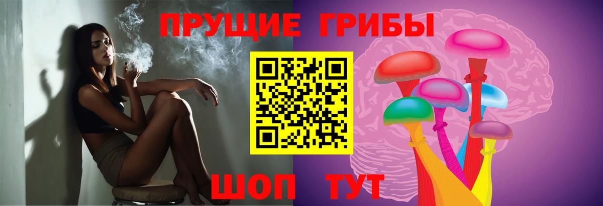 Псилоцибиновые грибы Psilocybe Можга