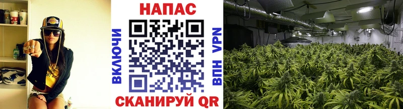 ссылка на мегу вход  купить наркотики сайты  Можга  Марихуана White Widow 